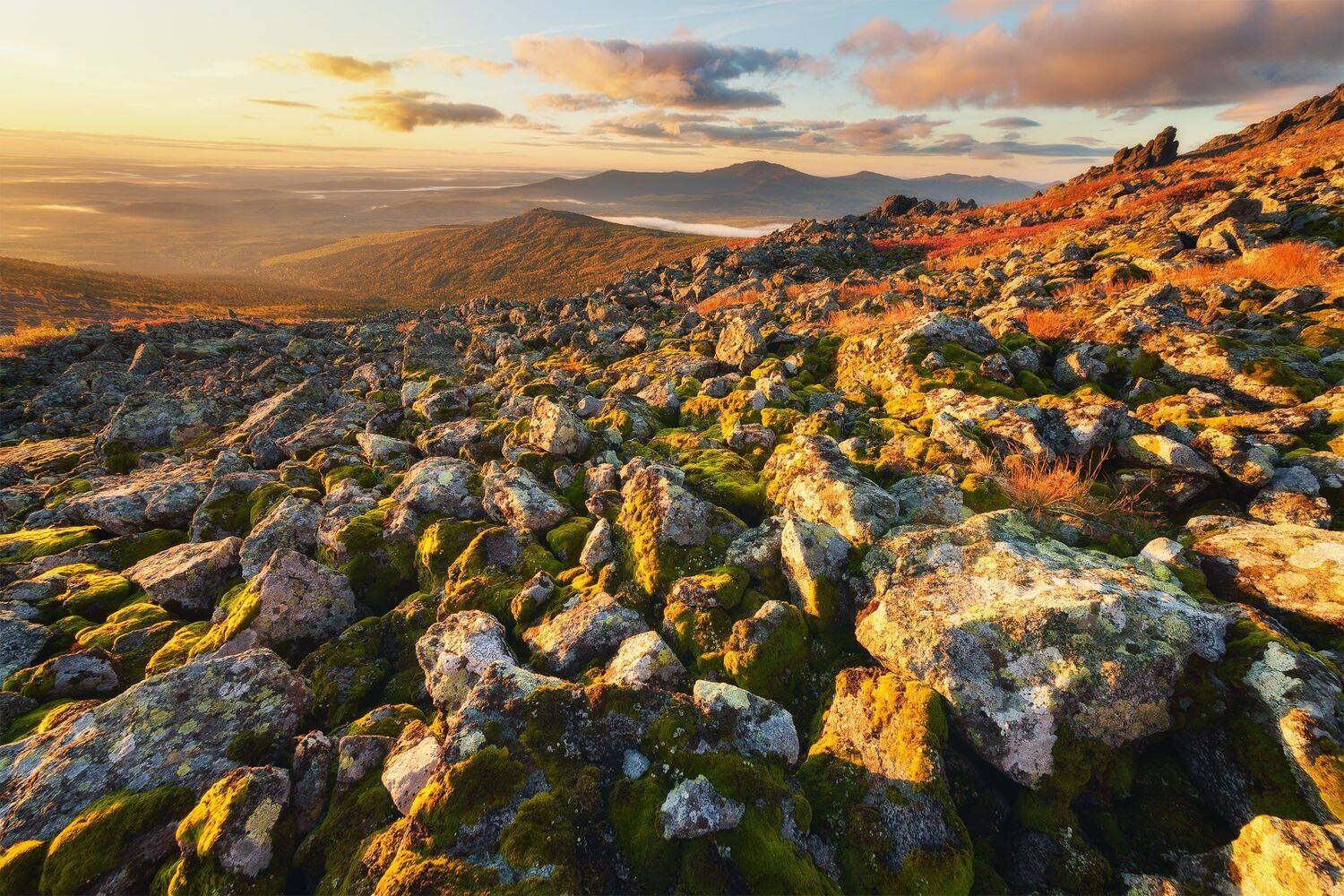 , Михаил Туркеев