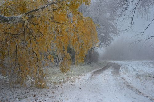 Прощай осень