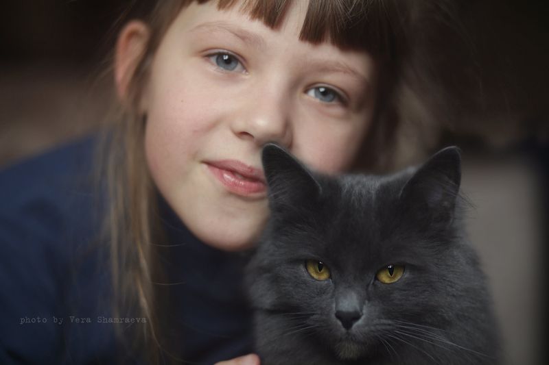 девочка кошка Верные друзья фото превью