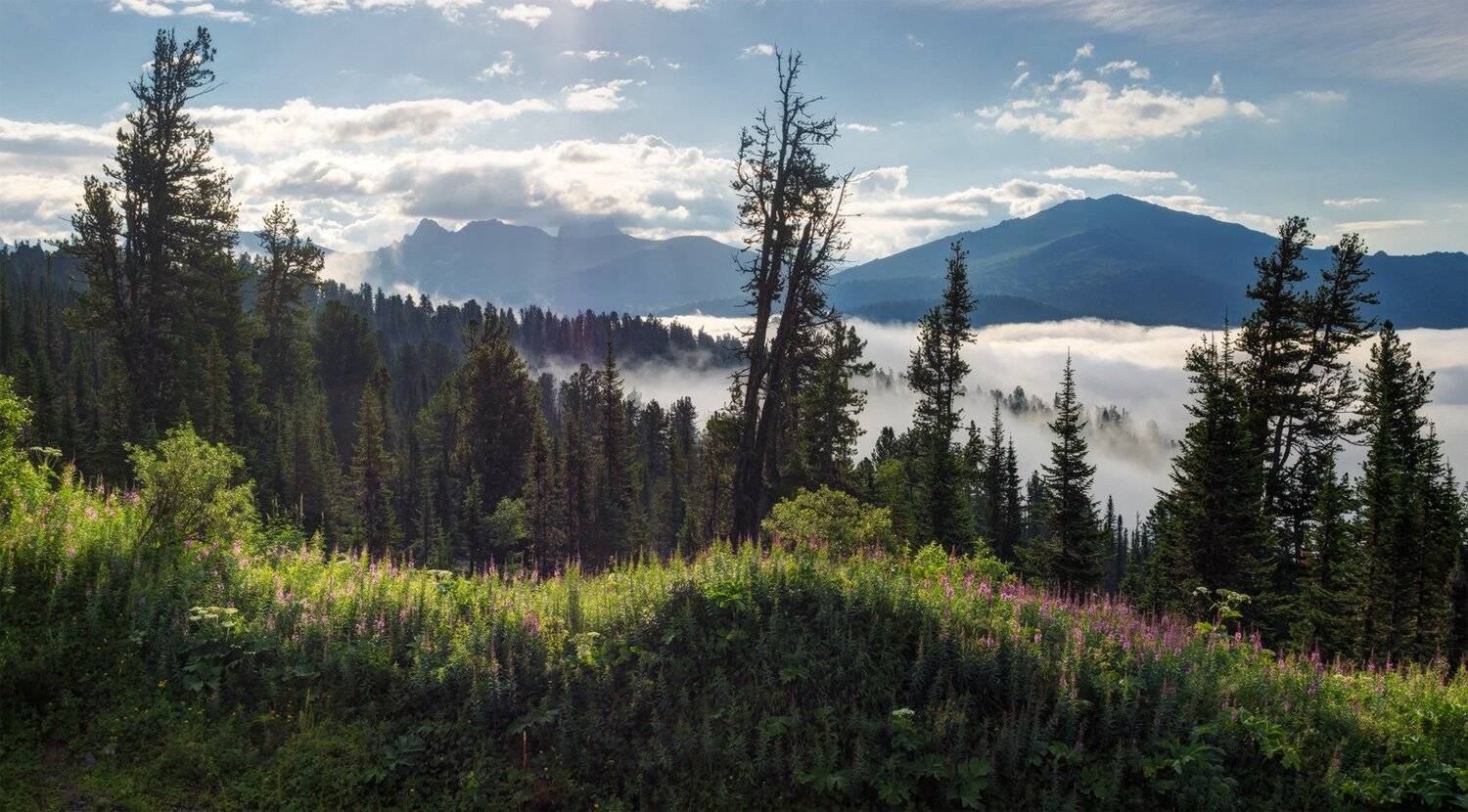 , Лещёнок Александр