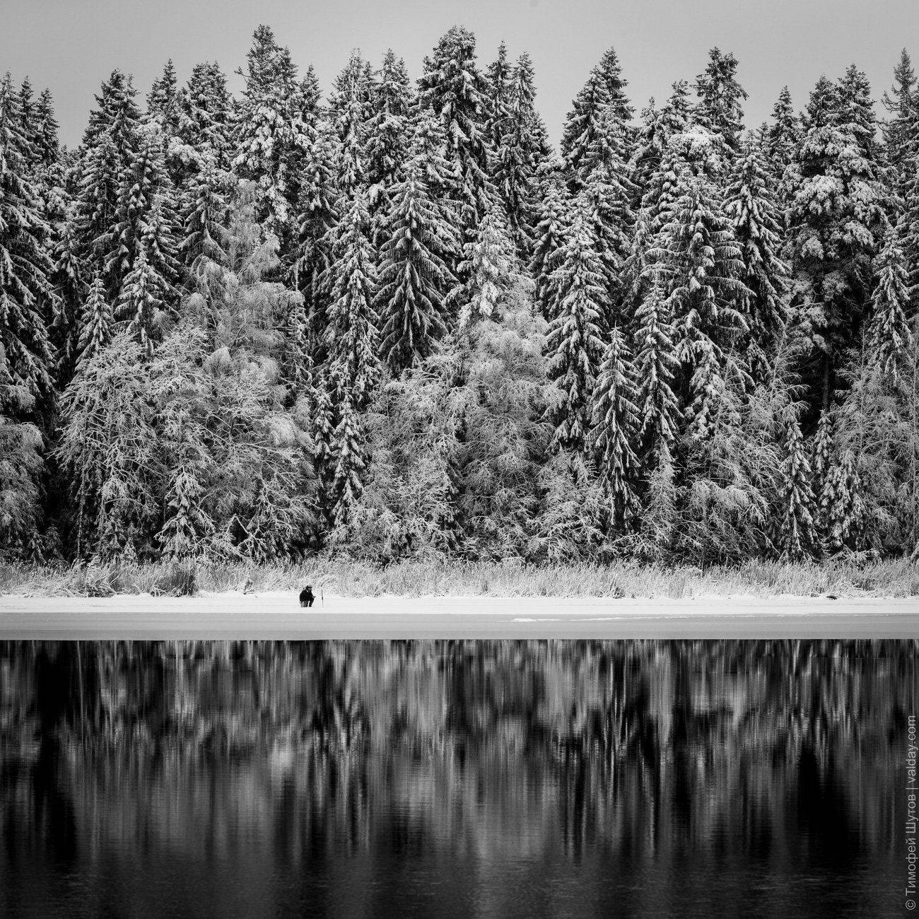 валдай, Тимофей Шутов