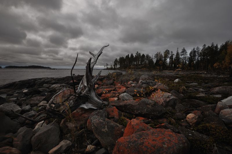 *** фото превью