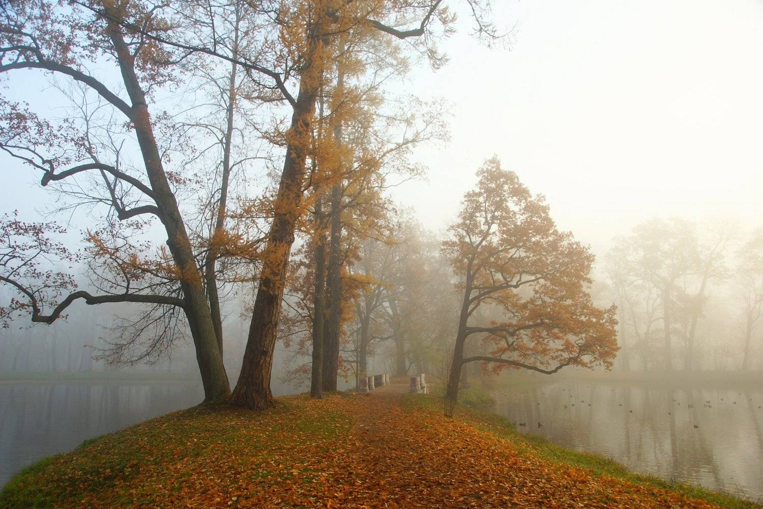 , Сергей Андреевич