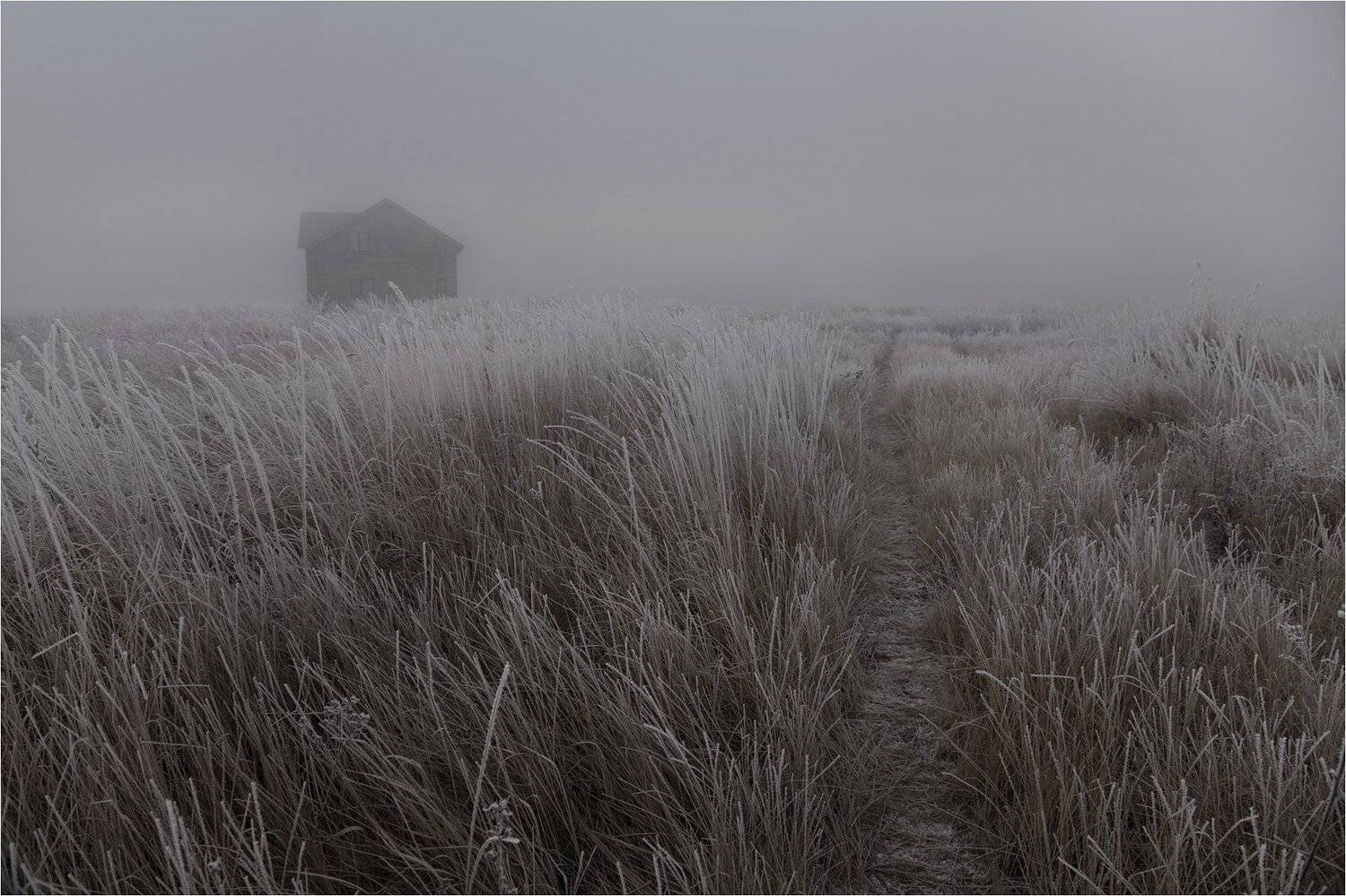 туман, Виктор Кириллов