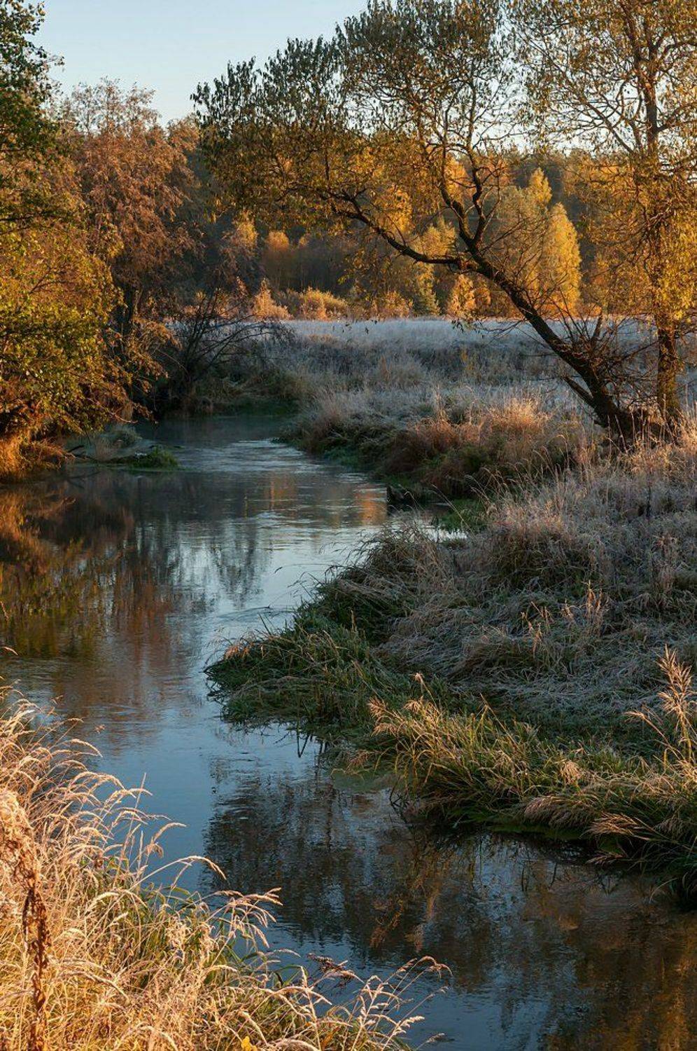 утро иней осень река, Yakovlev Artur