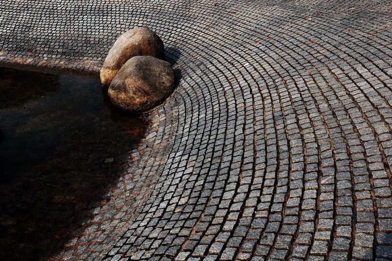 Zen Phto 3 фото превью