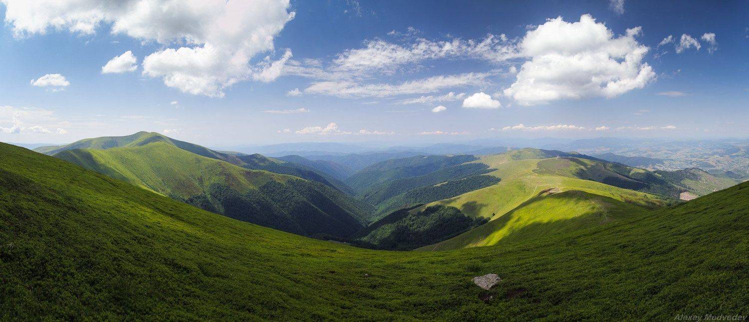 Карпаты, Украина, боржава, закарпатье, карпати, лето, Алексей Медведев