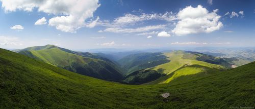Зеленая