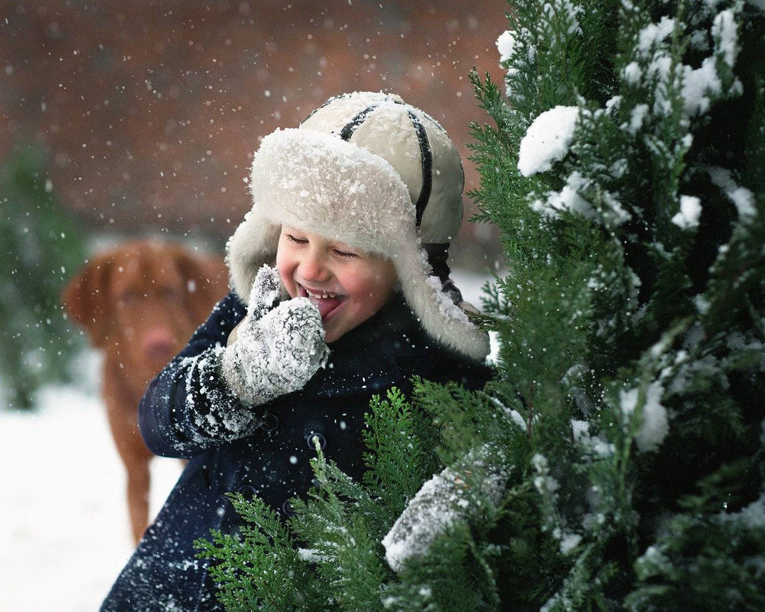 , Евгения Брусенцова