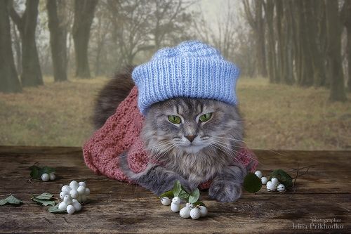 Вот уж и зима не за горами...
