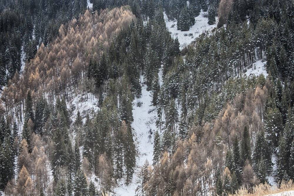 кыргызстан, горы, Элина Магалимова