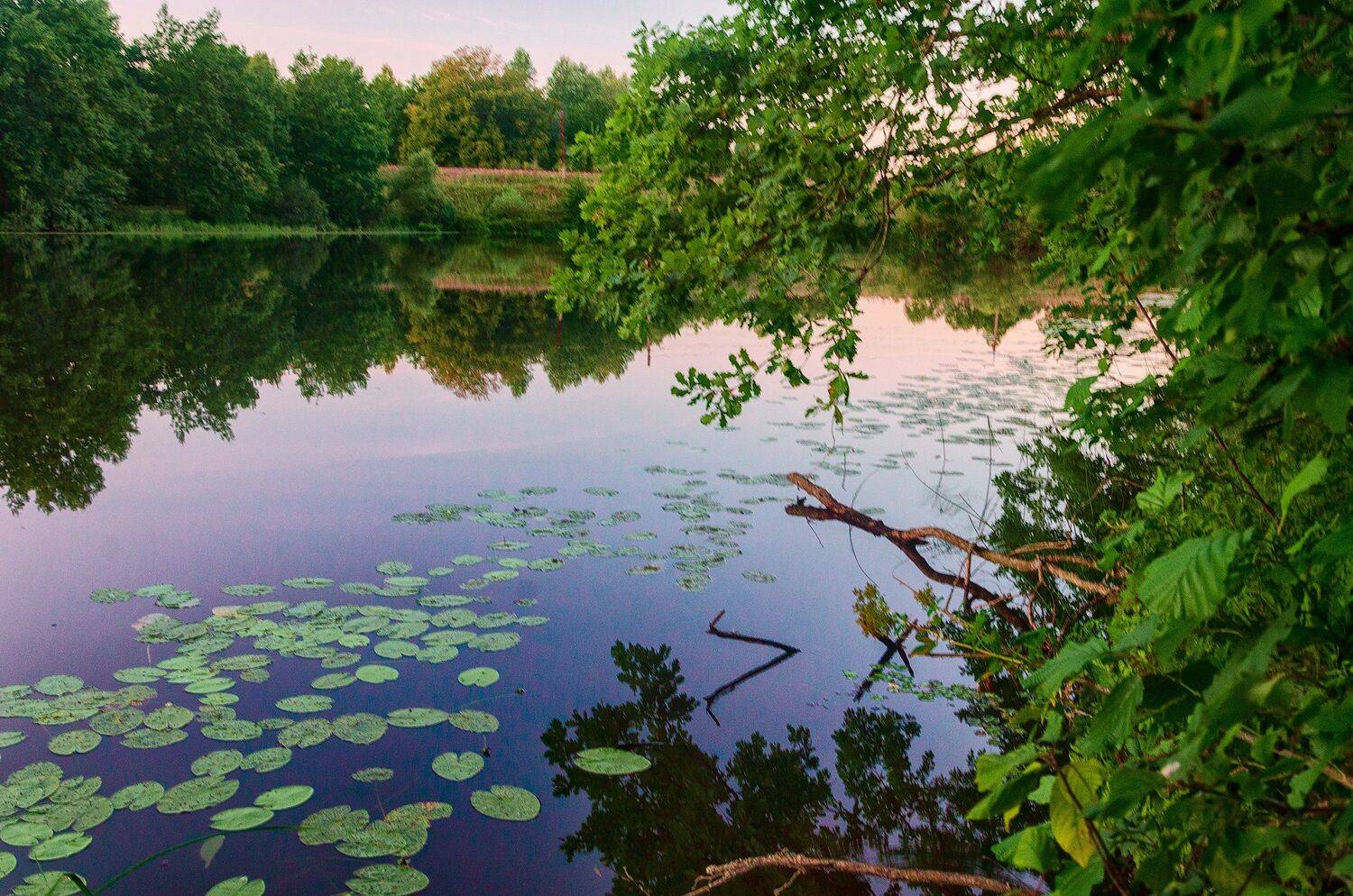 nevant60, пейзаж, красота, озеро, вечер, Александр Березуцкий