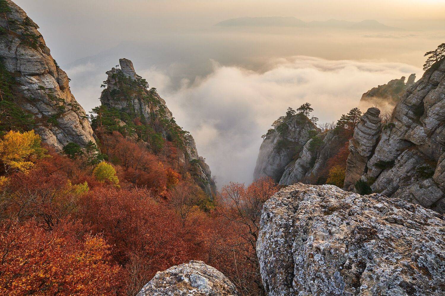 , Александр Панфилов