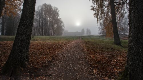 Тишину шагами меря...