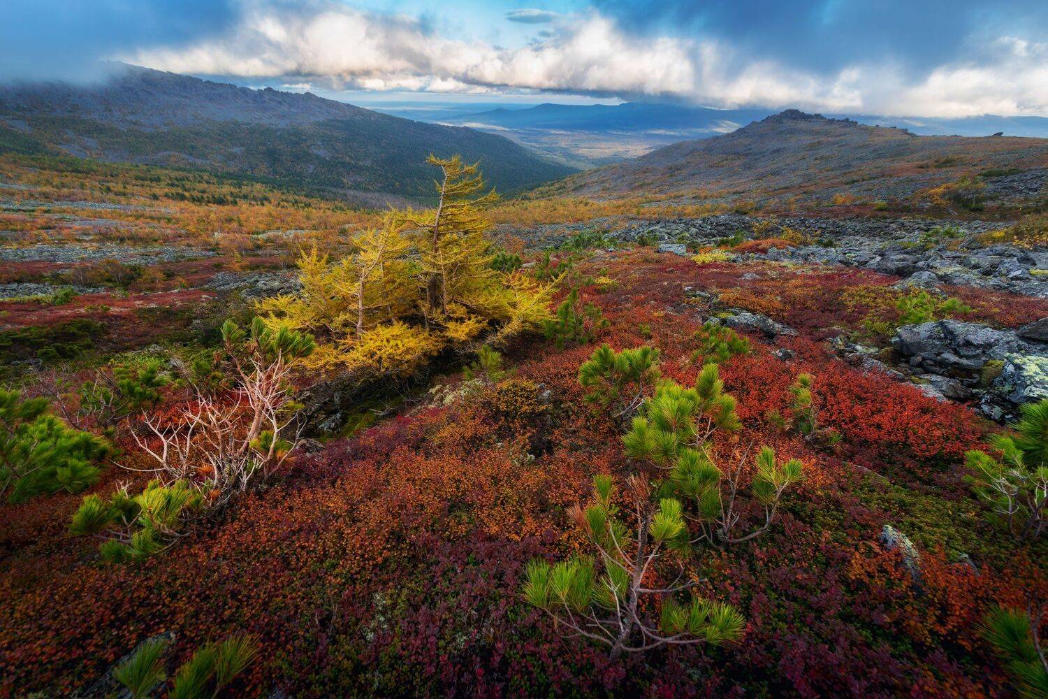 , Михаил Туркеев