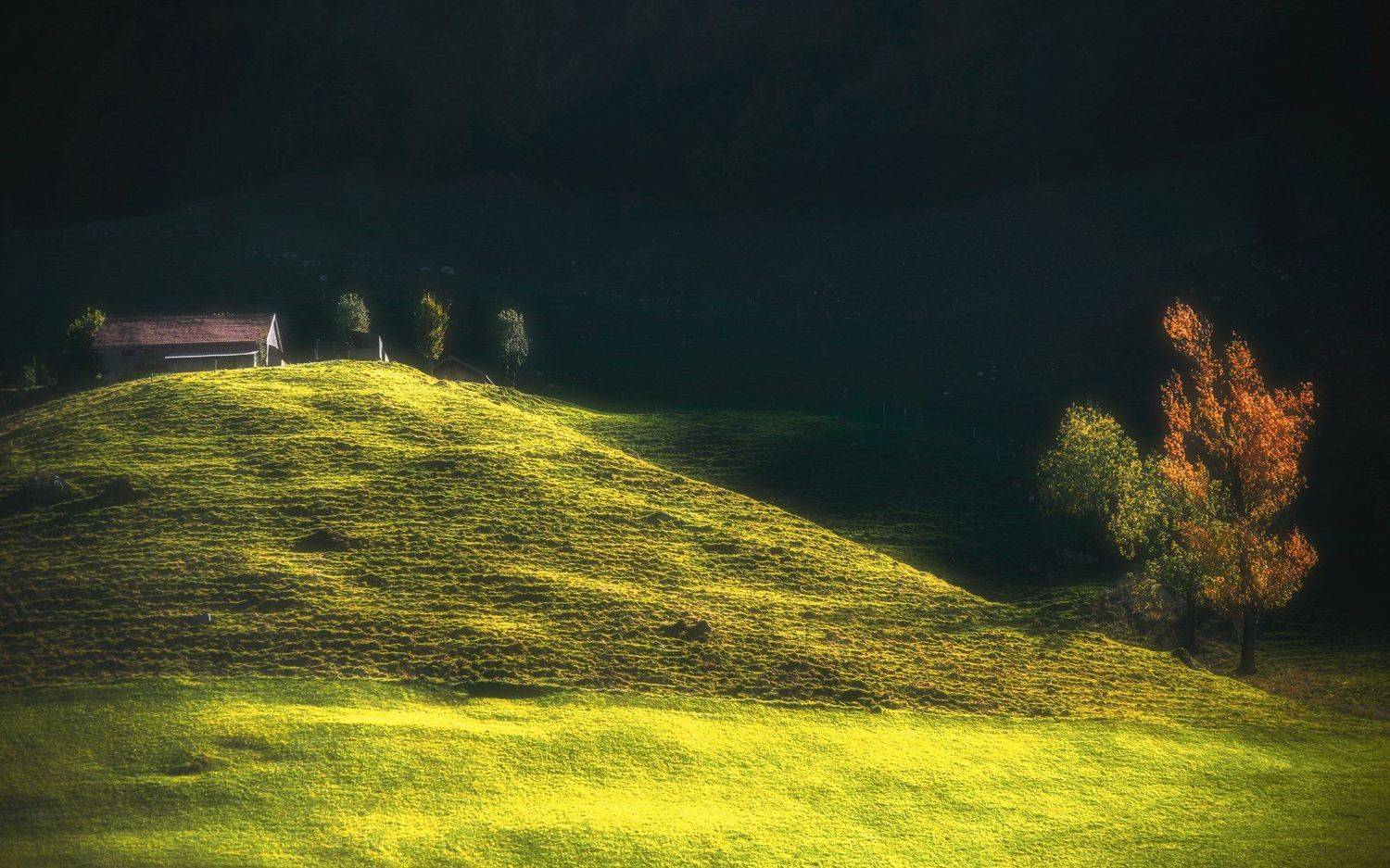 landscape,light,autumn,switzerland,travel, Olegs Bucis