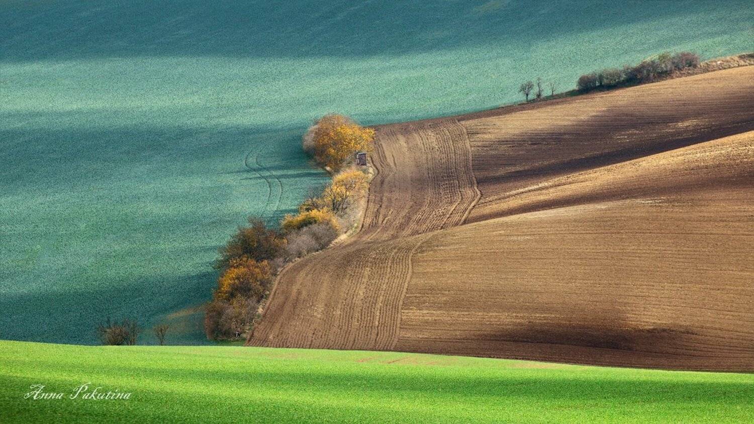 , Анна Пакутина