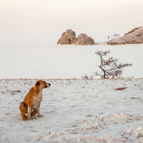 Байкал. Шаманка.