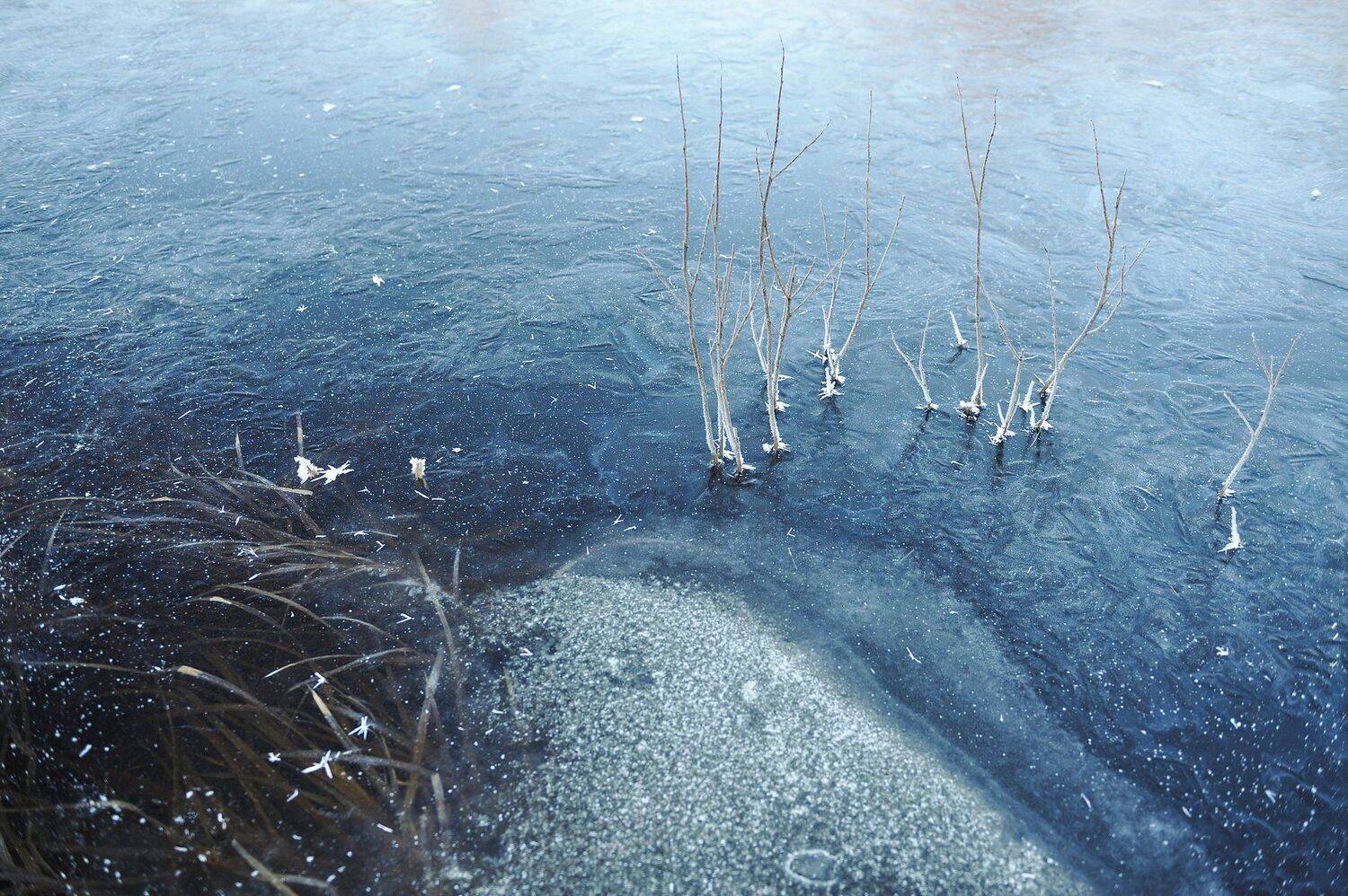 природа вода водоем озеро пруд растение растительность узор абстракция паттерн текстура воздух пузырьки толща лед мороз зима осень, Григорий Пиль