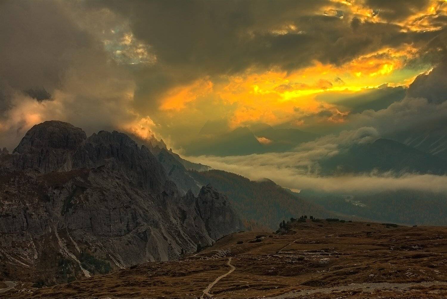 , Игорь Дубровский