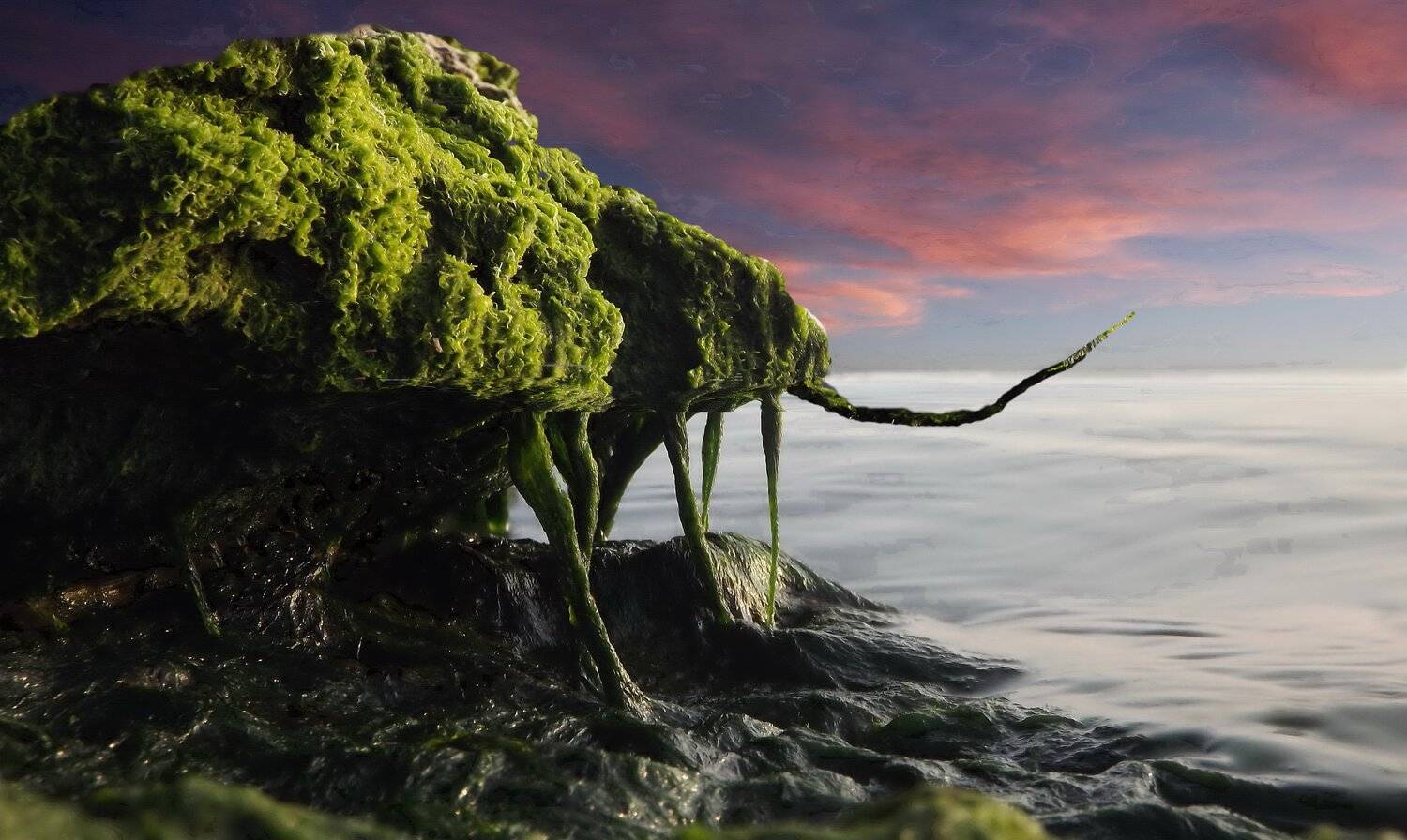 одесса, Сергей Кошелев