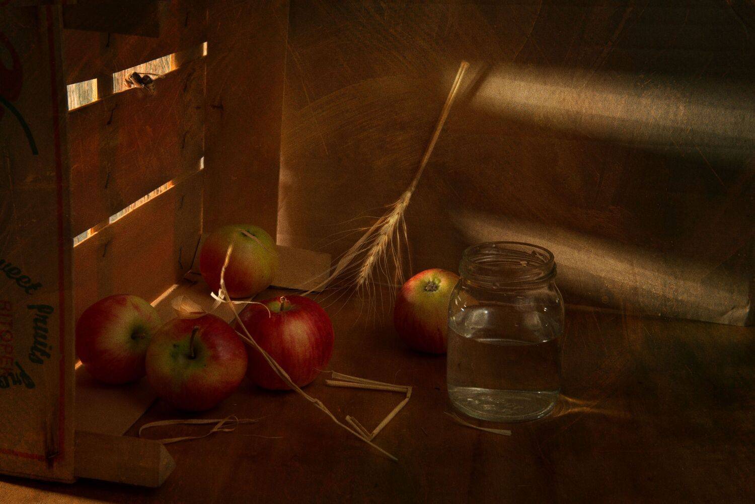 , Ирина Данилова