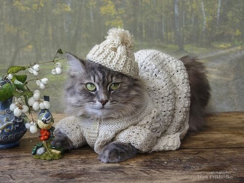 Осенний показ мод