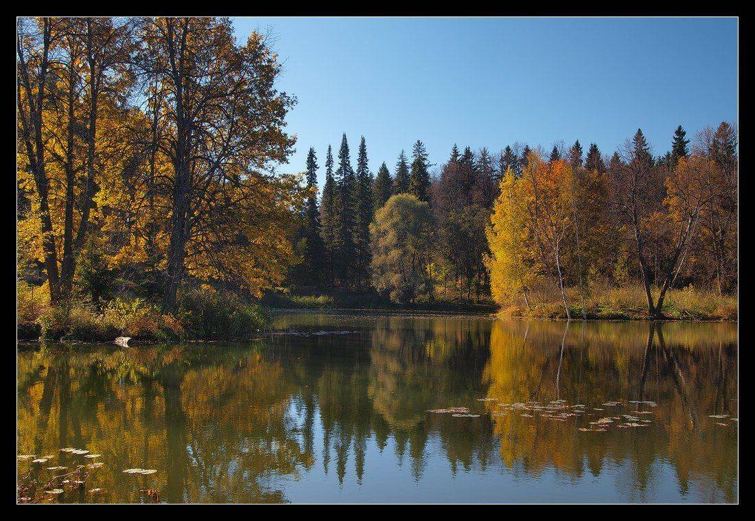 золотая, осень, октябрь, b.o.g.