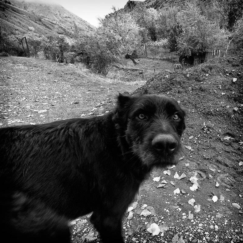 , Татьяна Аверина