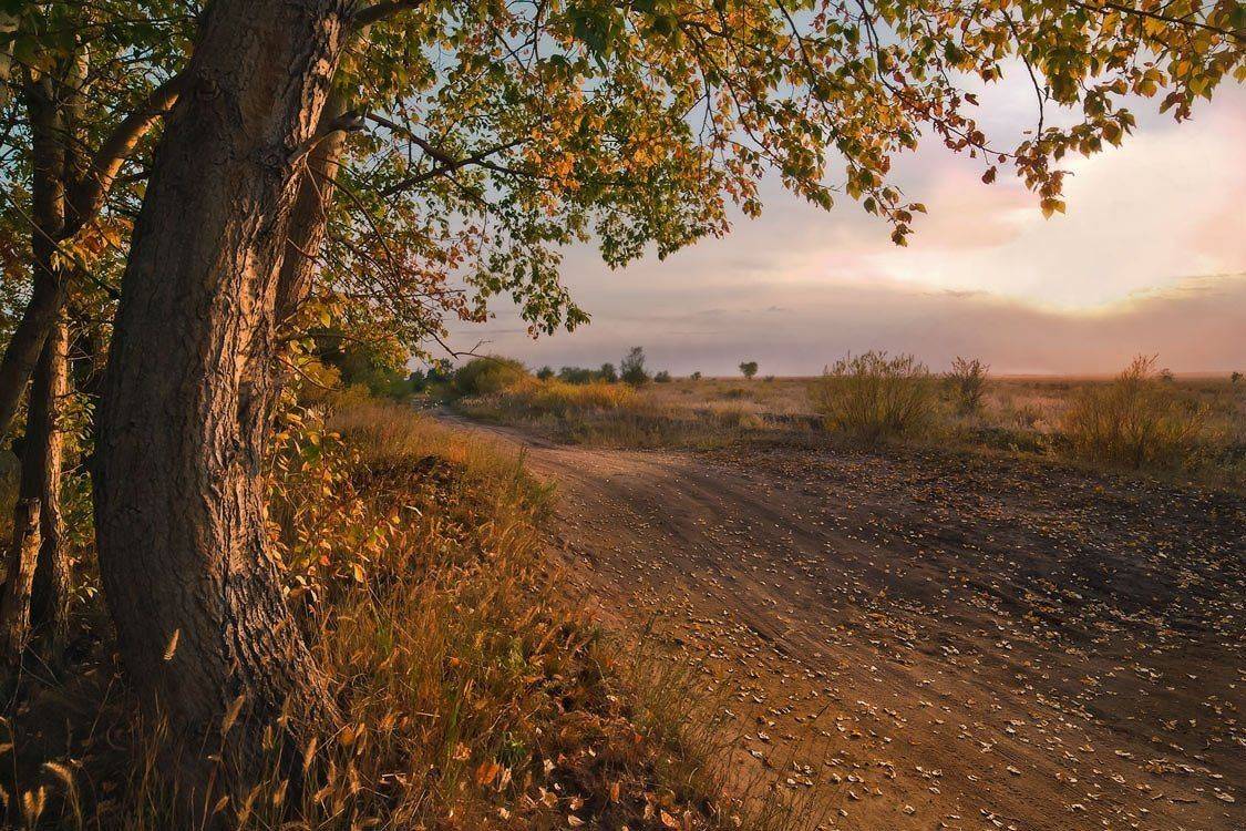 , Андрей Журавлев