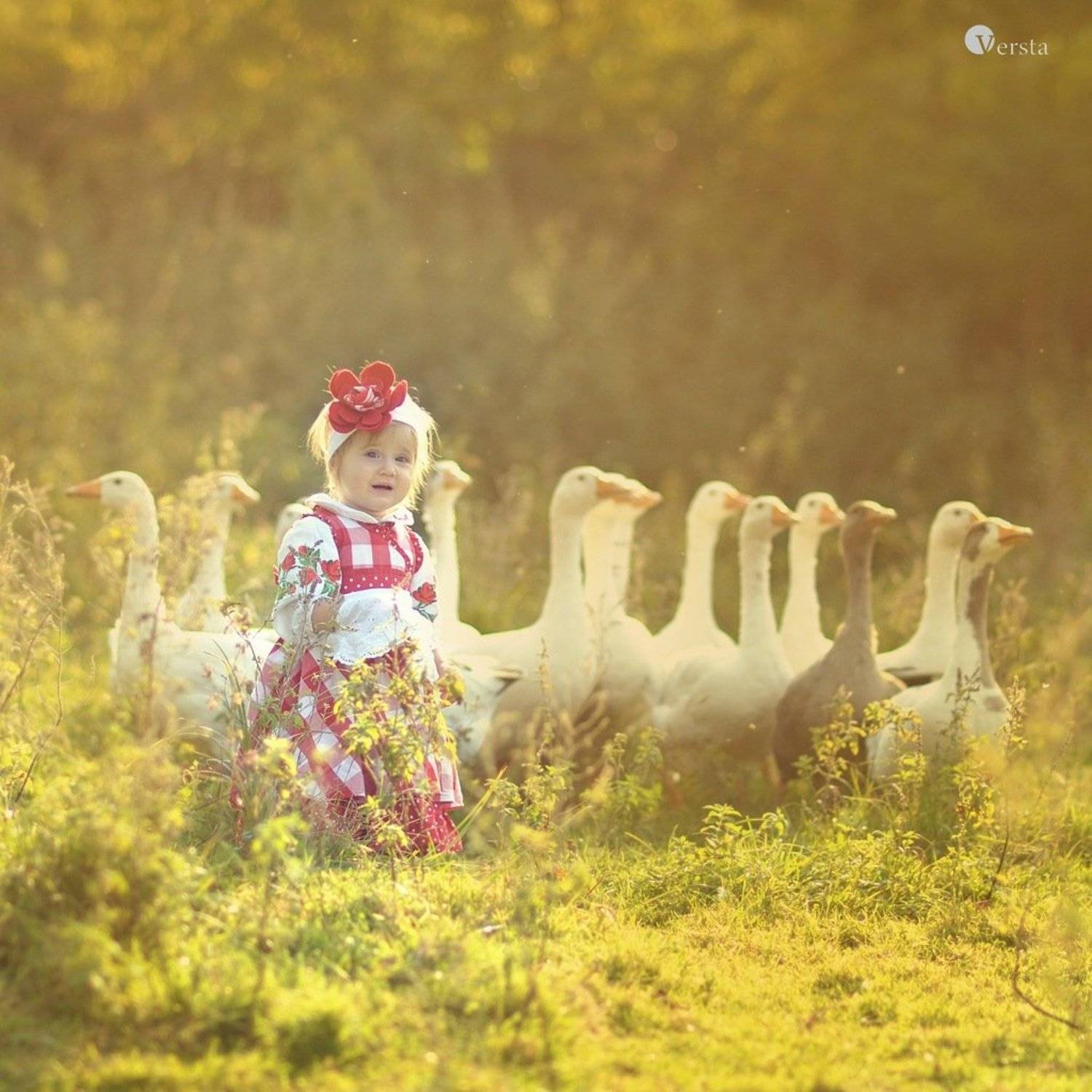 , Верста Юлія