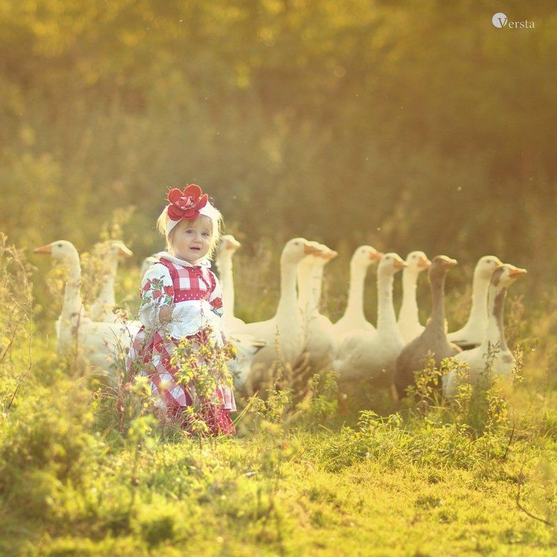 Гуси-гуси. Га-Га-Га. Есть хотите? Да-Да-Да. фото превью