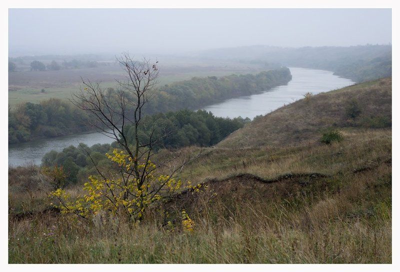 * * * фото превью