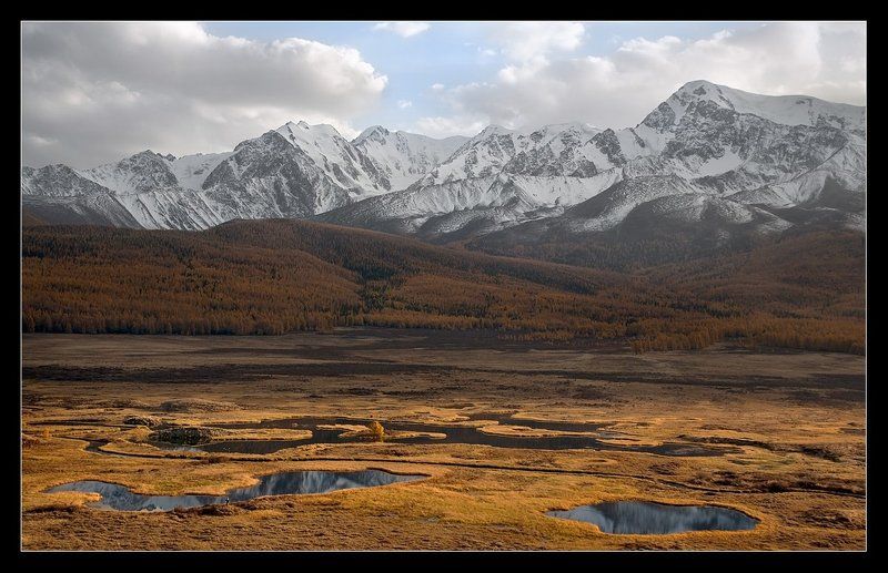 Зима,осень,лето... фото превью