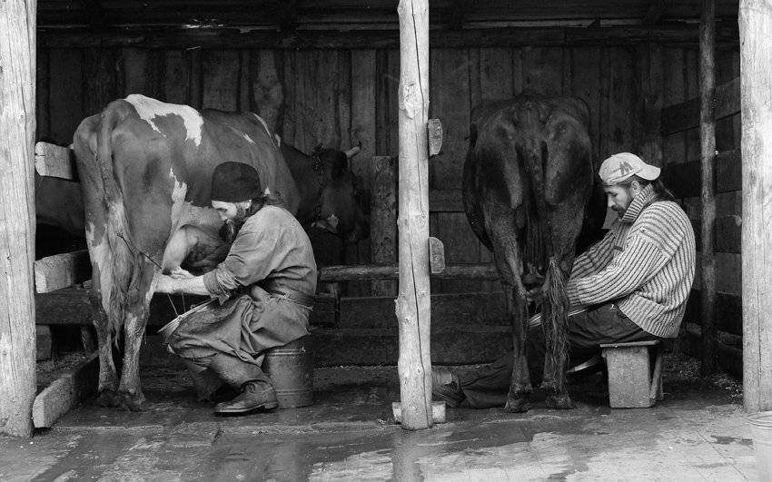, Андрей Хитайленко
