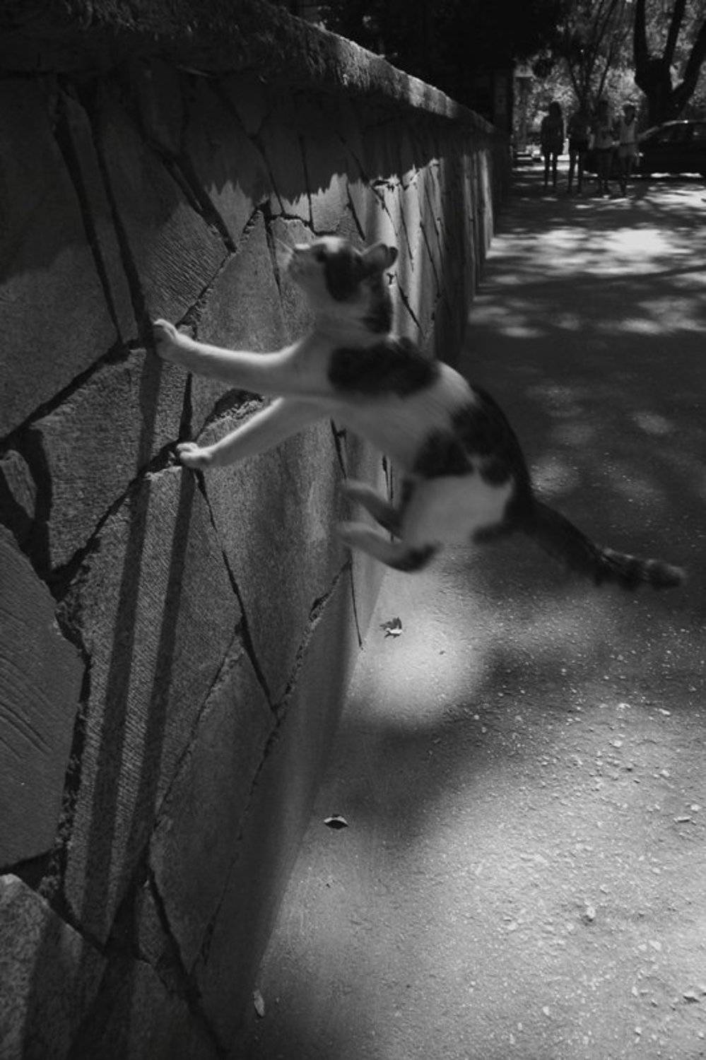 alex_belkin , аёша беукин, алексей белкин, Alex Belkin