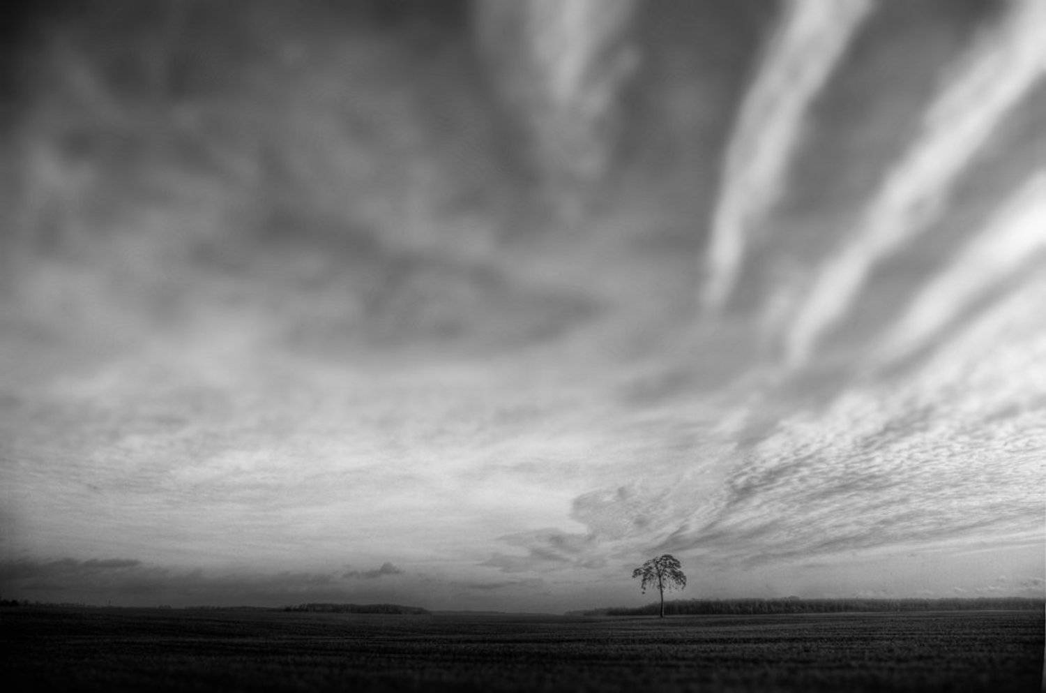 , Darius Aperavicius