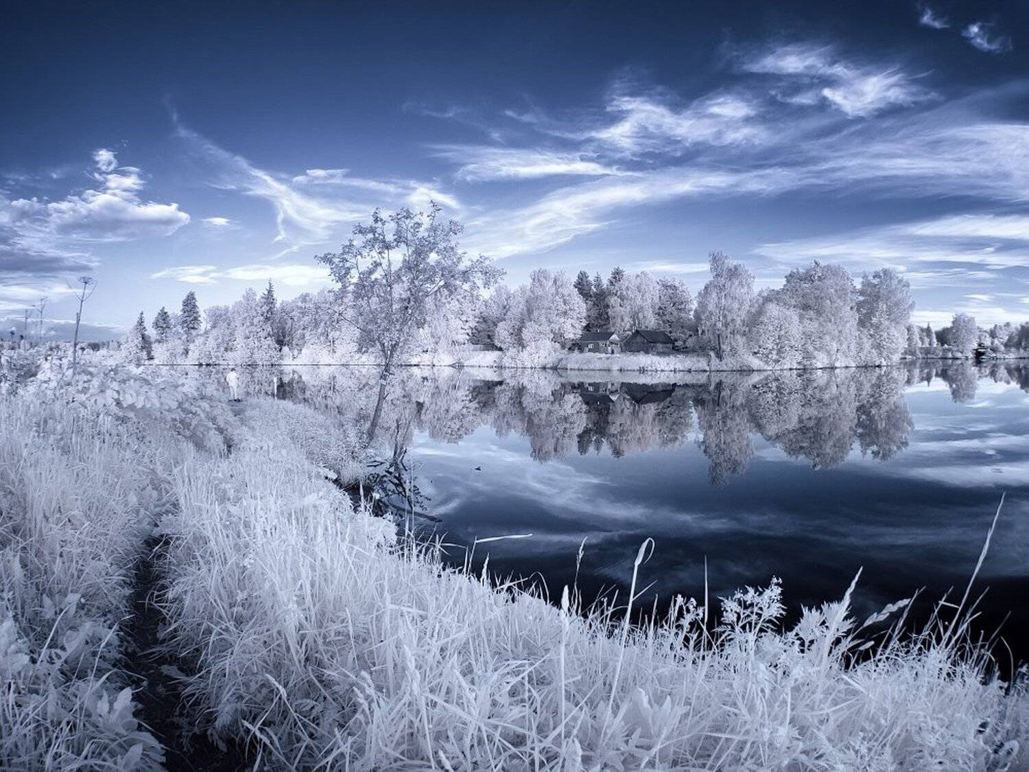 , Максим Евдокимов