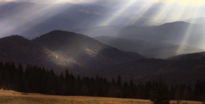 карпаты, кукул Утренняя.. фото превью