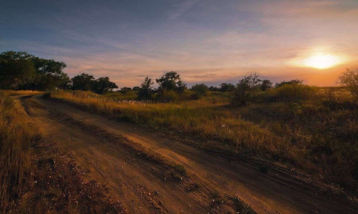 , Андрей Журавлев