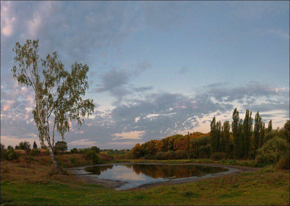 , Полищук И.В.