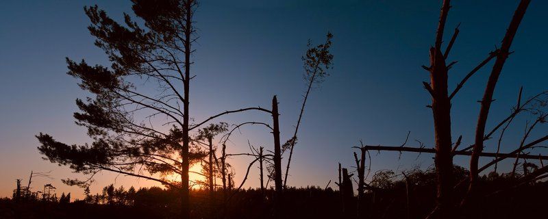 Затишье после урагана фото превью