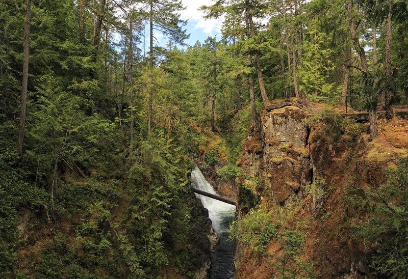 канада, лес, национальный парк, каньон, река, водопад, альберта, Беря начало в ледниках и снегах Скалистых гор, пробивая себе дорогу через камни, горы и леса, бегут реки страны Дикой розы... фото превью