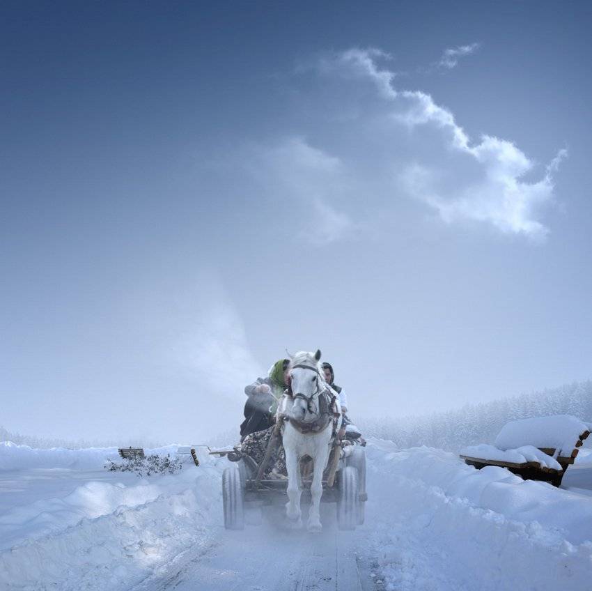 , Caras Ionut