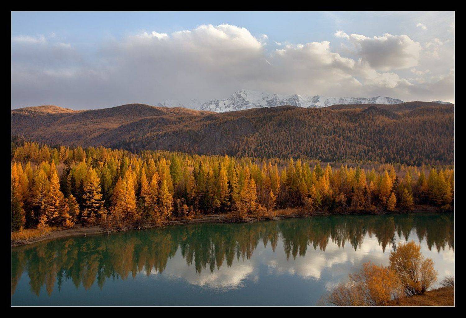 алтай ,река, чуя, осень, Виктория Роготнева
