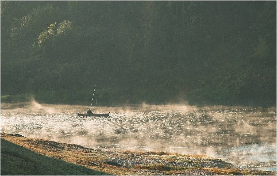 , Николай Шахманцир