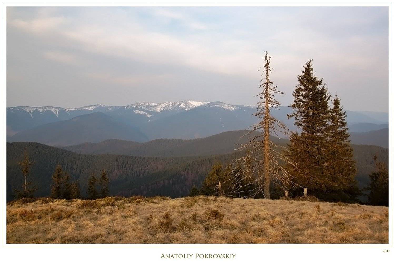анатолий покровский, карпаты, горы, утро, горганы, Анатолий Покровский
