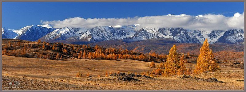 Северо-Чуйский хребет, Горный Алтай фото превью
