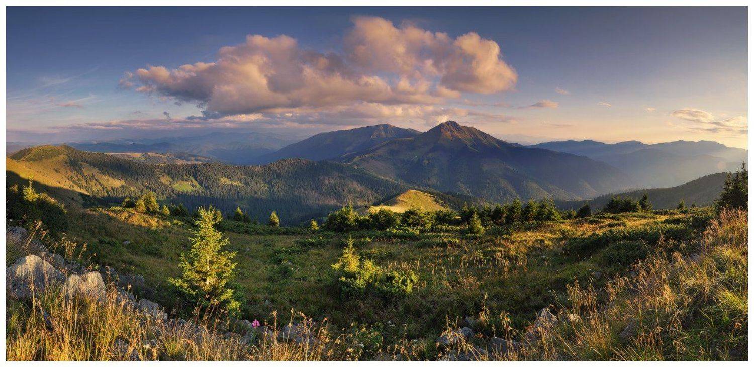 , Денис Кривой