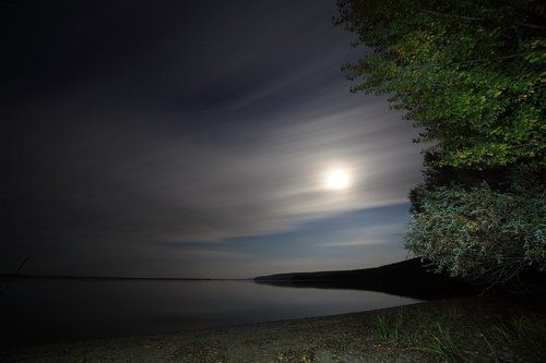 Лунная ночь